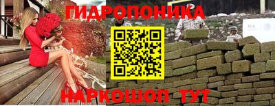 Альфа ПВП Вышний Волочёк