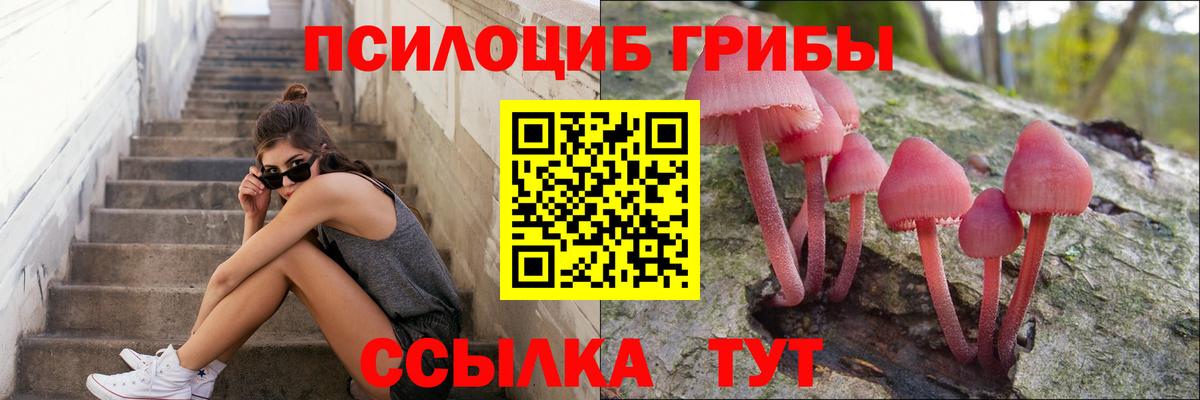 Галлюциногенные грибы GOLDEN TEACHER  Псилоцибиновые грибы прущие грибы  Вход с VPN  Губкинский 