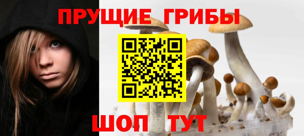 Псилоцибиновые грибы мицелий Губкинский